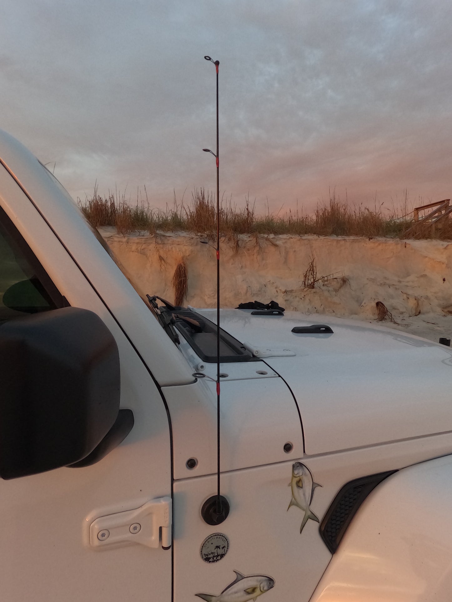 Fishing Rod AM/FM Replacement Antenna