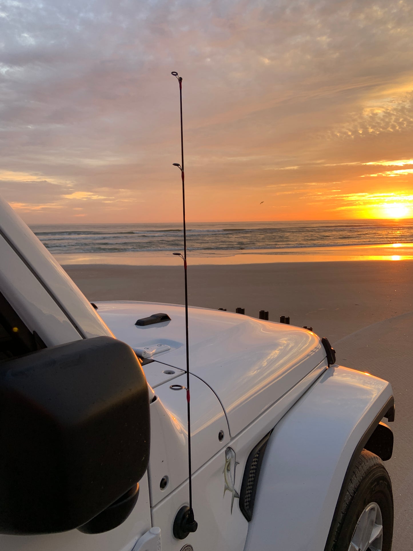 Fishing Rod AM/FM Replacement Antenna