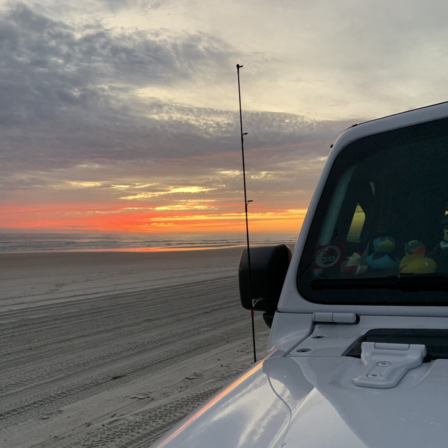 Fishing Rod AM/FM Replacement Antenna