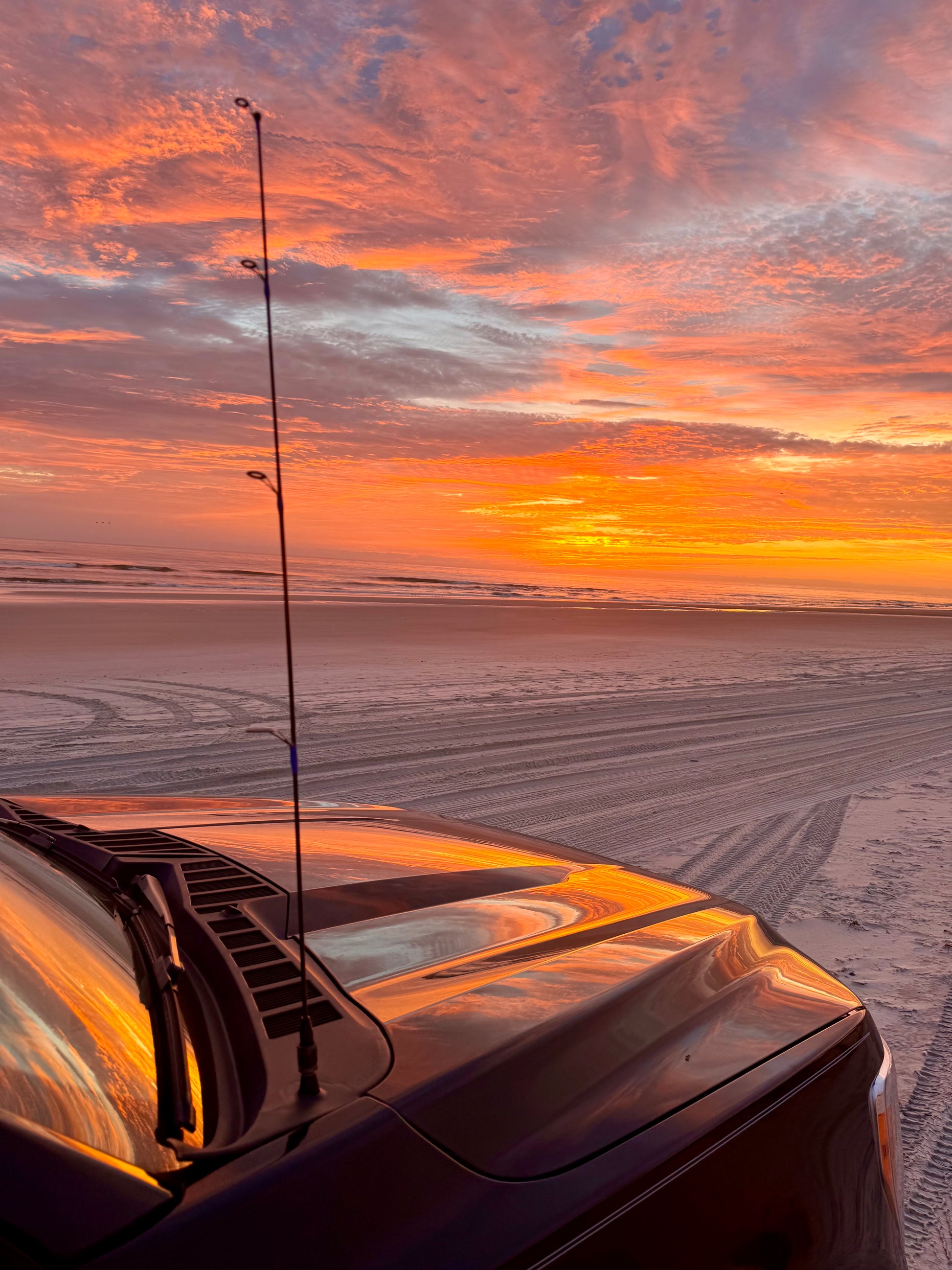 Fishing Pole Antenna, Ford sunrise front